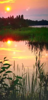 Serene sunset over lake with reflection and lush greenery.