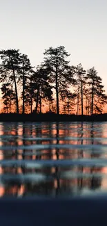 Tranquil sunset with silhouetted trees and calm water reflections.