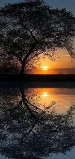 A tree silhouette reflecting in a sunset-lit lake.