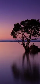 Serene sunset with tree reflection in calm waters, ideal for meditation.