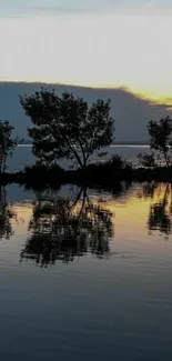 Serene sunset reflection with silhouetted trees over calm water.