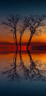 Silhouetted trees reflected in a serene sunset over calm water.