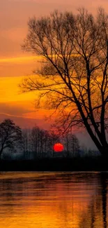 Sunset by a lake with trees reflecting on water, orange sky.