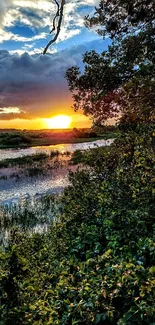 Serene sunset over river surrounded by lush greenery.