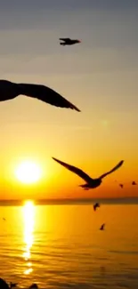 Sunset over the ocean with seagulls in flight creating a calming scene.