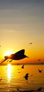 Seagulls flying over ocean at sunset.