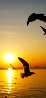 Seagulls flying in a stunning sunset over the ocean with bright orange hues.