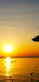 Ocean sunset with seagulls in flight.