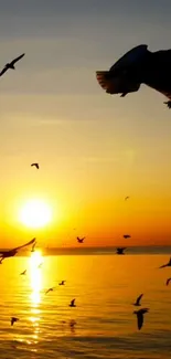 Birds flying over ocean at sunset with vibrant sky.