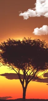 Silhouette tree with orange sunset and clouds.