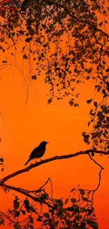 Bird silhouette on branch against vibrant orange sunset sky.