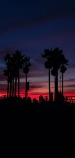 Silhouette of palm trees against a colorful sunset sky wallpaper.