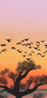 Silhouette of a tree and birds against a vibrant orange sunset sky.