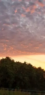 Orange sunset sky with trees and clouds.