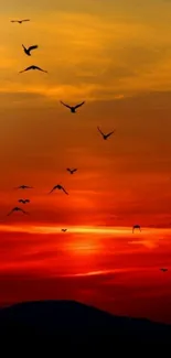 Birds silhouetted against a vibrant orange sunset sky.