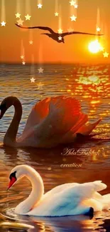 Swans glide on a lake at sunset with reflections accentuated by golden light.