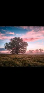 Lone tree under a pastel sunset sky.