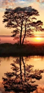 Silhouette of a tree reflected in a lake during a vibrant orange sunset.