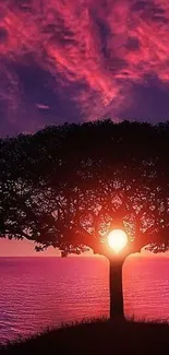 Serene sunset tree with vibrant pink and purple sky over the sea.