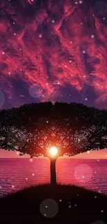Lone tree silhouette at sunset with vibrant sky.