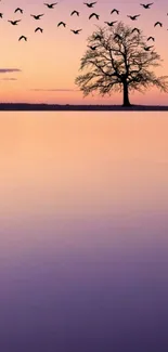 Serene sunset scene with tree silhouette and birds flying.