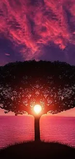 Mobile wallpaper with a sunset behind a silhouetted tree.