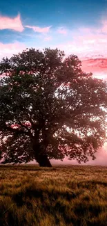 Solitary tree under a pink sunset sky with field.