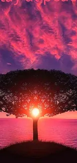 Sunset behind a tree with pink and purple skies for a serene wallpaper.