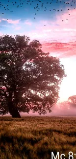 Sunset sky with tree silhouette and pink hues.