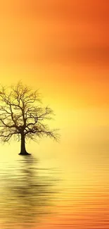 Lone tree with sunset reflection on calm water background.