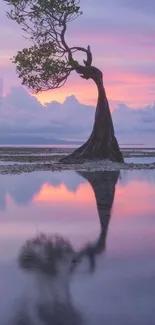 Single tree reflected in sunset waters.