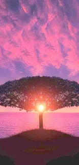 Sunset with a tree silhouetted against a pink sky.