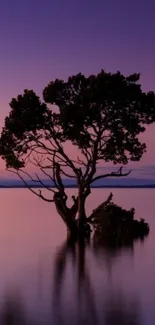 Solitary tree silhouetted against a purple sunset on a calm lake.