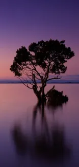 Serene sunset with a lone tree and calm waters reflecting purple hues.