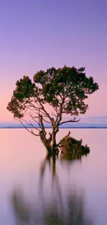 Solitary tree reflecting in calm water at sunset with a purple sky.