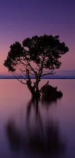 A lone tree silhouetted against a purple sunset over calm water.