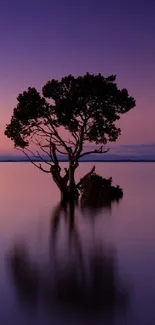 Purple sunset with a tree reflecting on water.