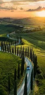 Winding Tuscan road at sunset with cypress trees and green hills.