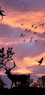 Silhouette of a deer against a vibrant orange sunset sky, with birds flying.