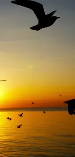 Silhouetted birds during an ocean sunset scene with vibrant orange hues.