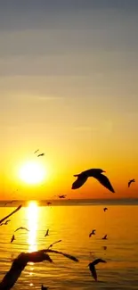 Beautiful sunset with birds flying over a calm orange sea horizon.