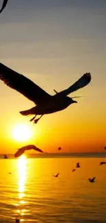 Birds flying in front of a vibrant sunset over the ocean.