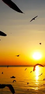 Sunset over ocean with birds flying, creating a serene and natural scene.