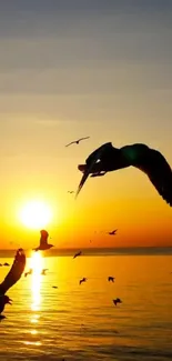 Silhouette of birds flying across a vibrant sunset over the ocean.