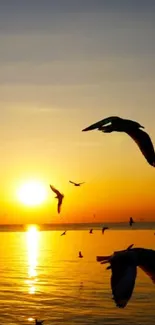 Birds flying in a serene sunset over the ocean.