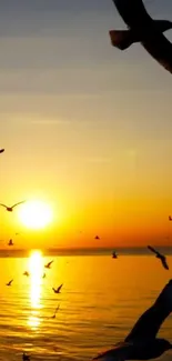 Serene sunset over ocean with flying birds.