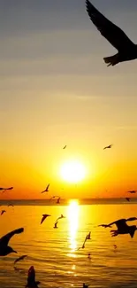 Sunset over ocean with silhouetted birds, golden hues dominate the sky.