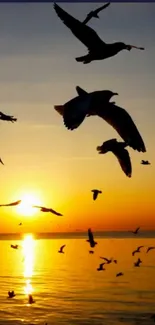 Silhouetted birds flying over ocean at sunset.