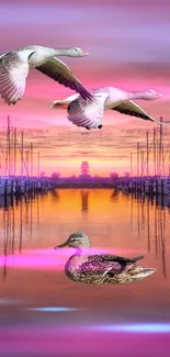 Sunset over marina with flying ducks and vibrant colors in the sky.