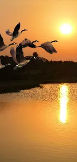 Sunset over lake with flying geese, warm orange tones.